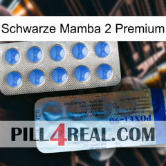Black Mamba 2 Premium 40
